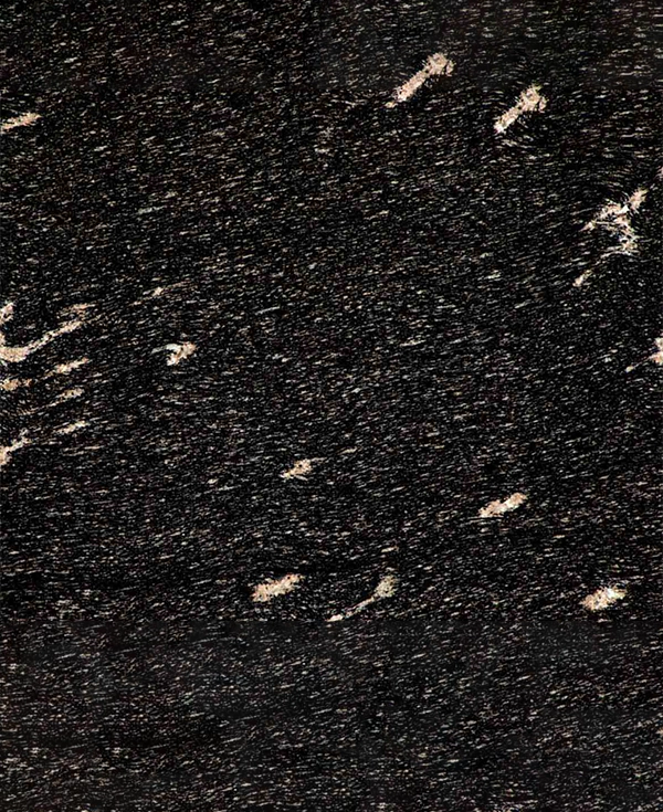 Fish Black Granite
